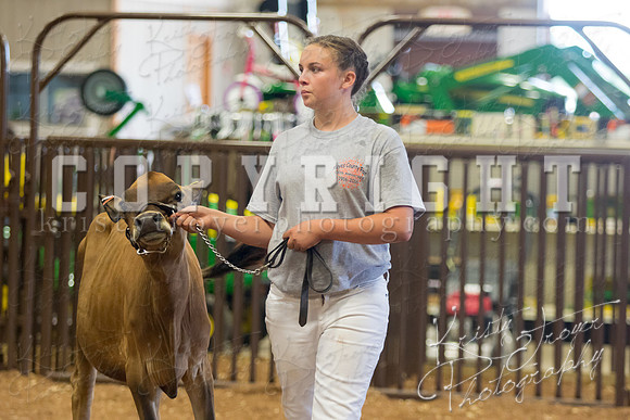 MAYES_COUNTY_FAIR_DAIRY-3449