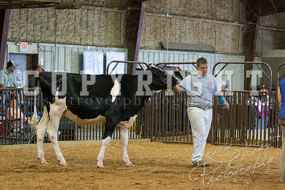 MAYES_COUNTY_FAIR_DAIRY-3349