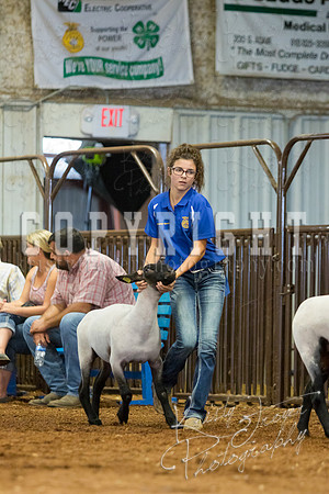 MAYES_COUNTY_FAIR_SHEEP-3084