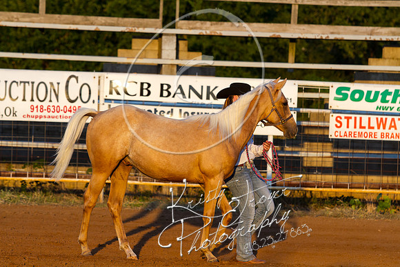IMG_9919©KRISTYTROYER