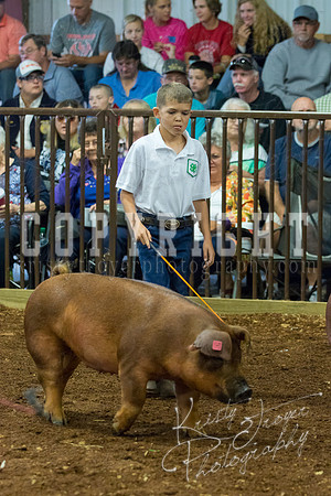 MAYES_COUNTY_FAIR_Swine-9465