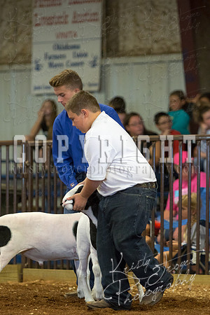 MAYES_COUNTY_FAIR_SHEEP-2900