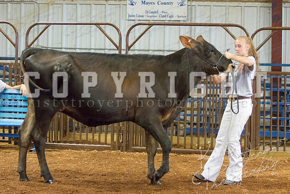 MAYES_COUNTY_FAIR_DAIRY-3446