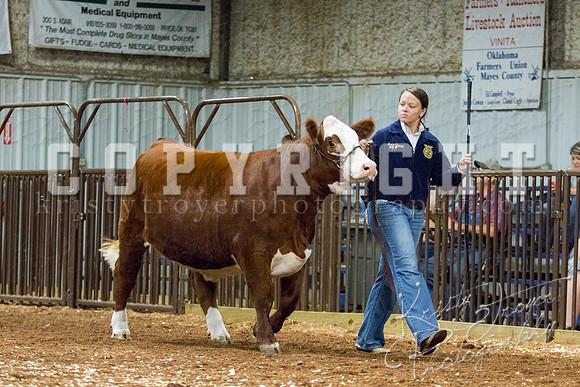 MAYES_COUNTY_FAIR_heifer-4190