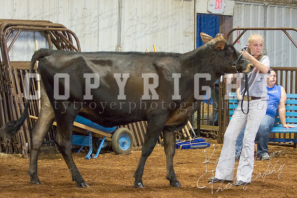 MAYES_COUNTY_FAIR_DAIRY-3445