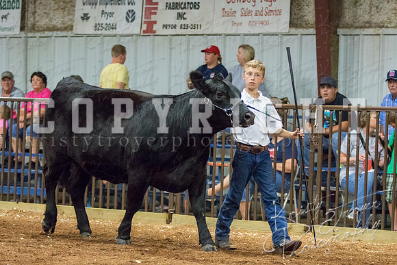 MAYES_COUNTY_FAIR_heifer-4125