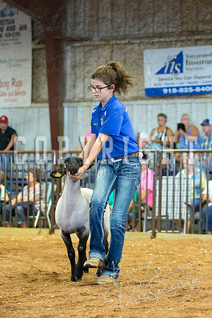 MAYES_COUNTY_FAIR_SHEEP-3092