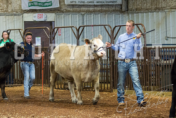 MAYES_COUNTY_FAIR_steer-3921