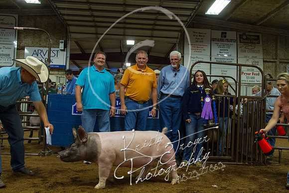IMG_0888©KRISTYTROYER