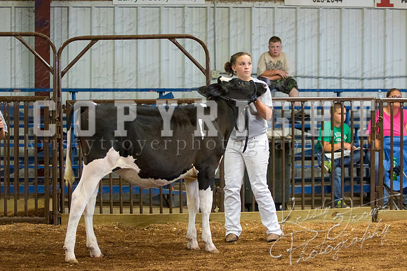 MAYES_COUNTY_FAIR_DAIRY-3314