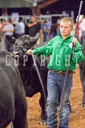 MAYES_COUNTY_FAIR_heifer-4117