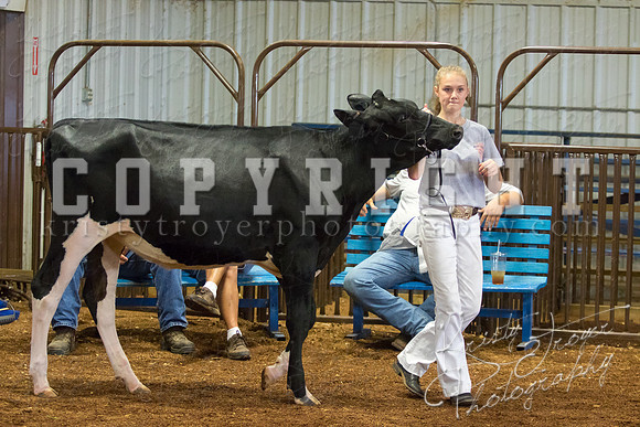 MAYES_COUNTY_FAIR_DAIRY-3353