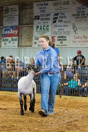 MAYES_COUNTY_FAIR_SHEEP-3093