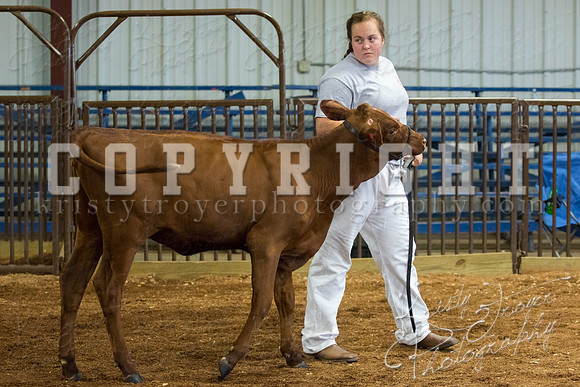 MAYES_COUNTY_FAIR_DAIRY-3392