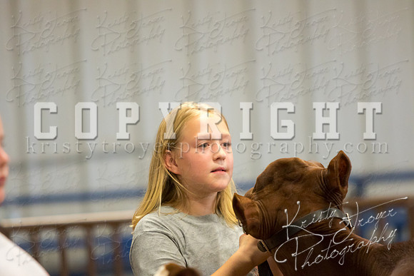 MAYES_COUNTY_FAIR_DAIRY-3421