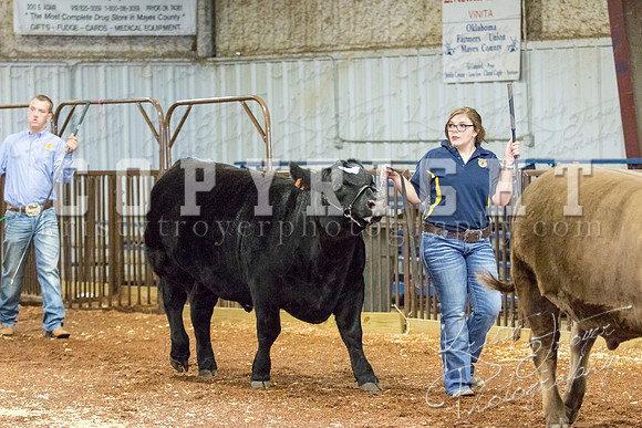 MAYES_COUNTY_FAIR_steer-3920