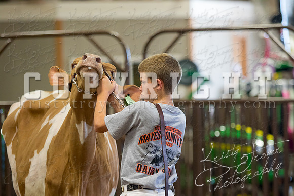 MAYES_COUNTY_FAIR_DAIRY-3447