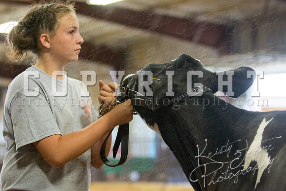 MAYES_COUNTY_FAIR_DAIRY-3435