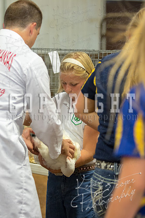 MAYES_COUNTY_FAIR_boiler-3869