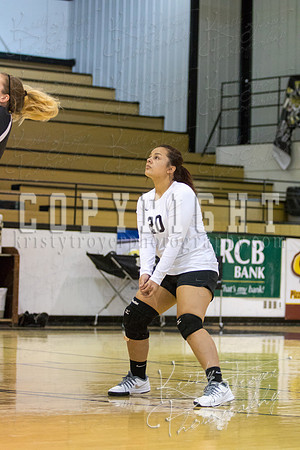 SALINA_VS_WESTVILLE_VOLLEYBALL-0362