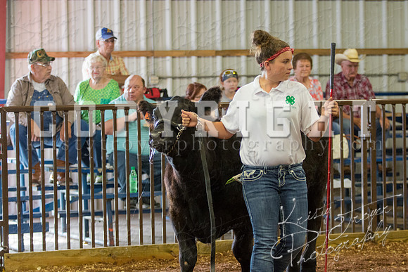 MAYES_COUNTY_FAIR_steer-3918