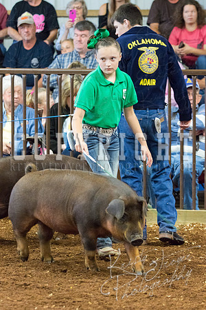 MAYES_COUNTY_FAIR_Swine-9508