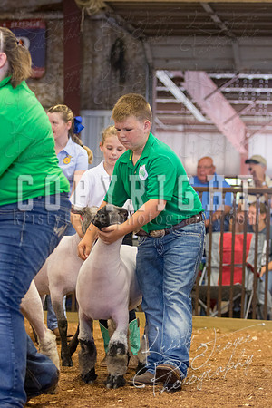 MAYES_COUNTY_FAIR_SHEEP-2850