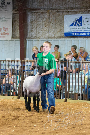 MAYES_COUNTY_FAIR_SHEEP-3104