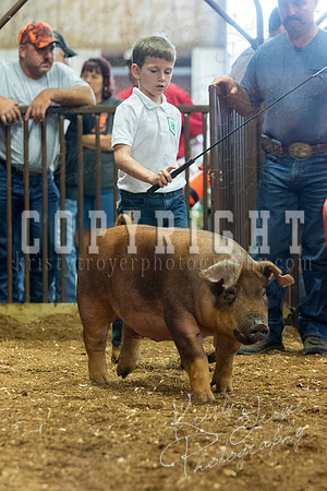 MAYES_COUNTY_FAIR_Swine-9531