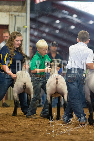 MAYES_COUNTY_FAIR_SHEEP-3119