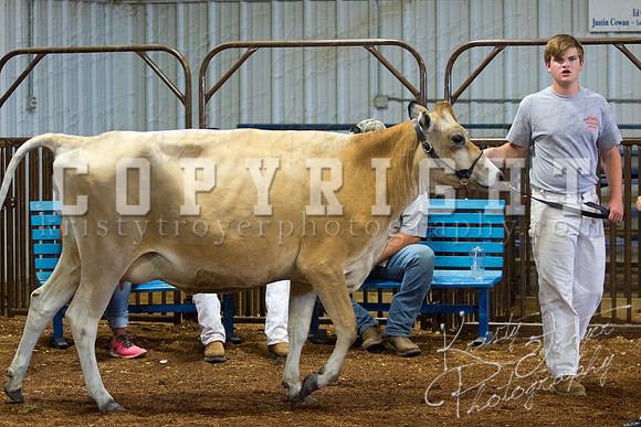 MAYES_COUNTY_FAIR_DAIRY-3373