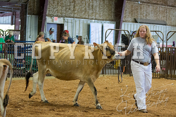 MAYES_COUNTY_FAIR_DAIRY-3388