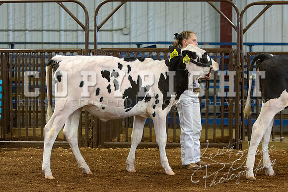 MAYES_COUNTY_FAIR_DAIRY-3315