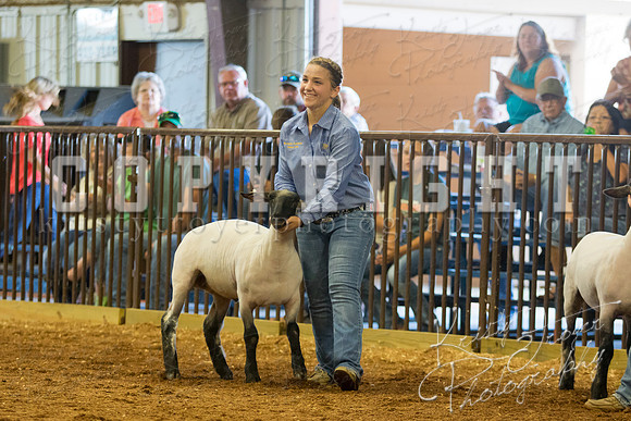 MAYES_COUNTY_FAIR_SHEEP-2875