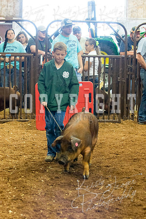 MAYES_COUNTY_FAIR_Swine-9485