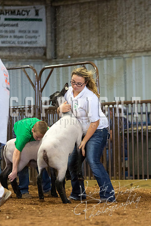 MAYES_COUNTY_FAIR_SHEEP-3095