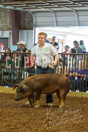 MAYES_COUNTY_FAIR_Swine-9533