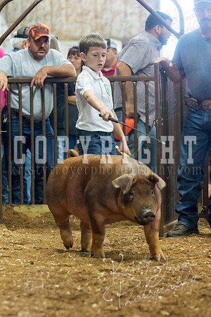 MAYES_COUNTY_FAIR_Swine-9530