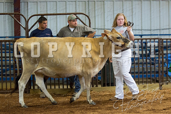 MAYES_COUNTY_FAIR_DAIRY-3372
