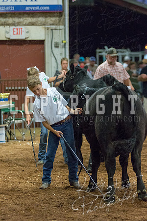 MAYES_COUNTY_FAIR_heifer-4126