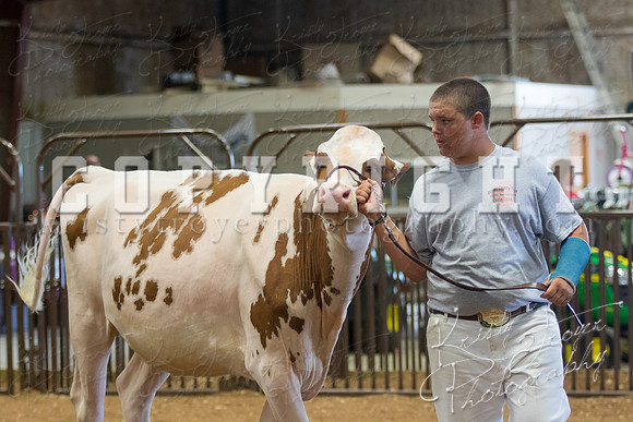 MAYES_COUNTY_FAIR_DAIRY-3458