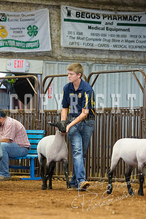 MAYES_COUNTY_FAIR_SHEEP-3083
