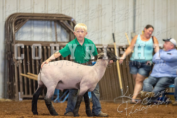 MAYES_COUNTY_FAIR_SHEEP-3121