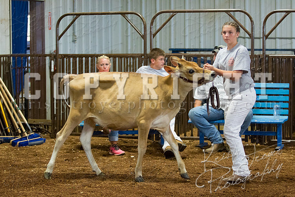MAYES_COUNTY_FAIR_DAIRY-3382