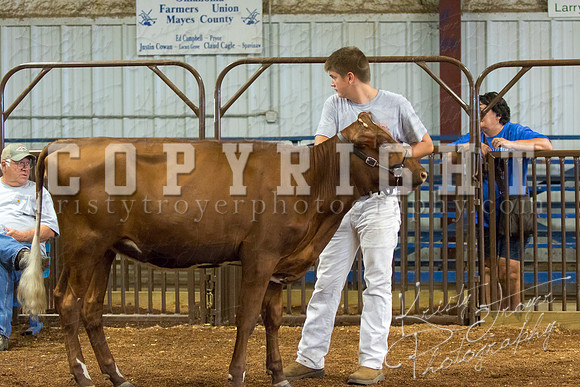 MAYES_COUNTY_FAIR_DAIRY-3425
