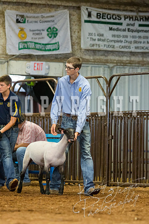 MAYES_COUNTY_FAIR_SHEEP-3082