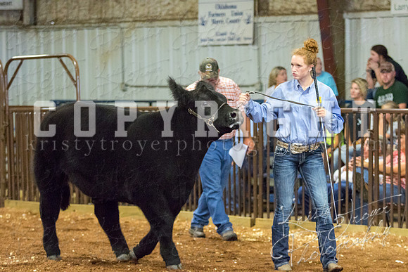 MAYES_COUNTY_FAIR_steer-4045