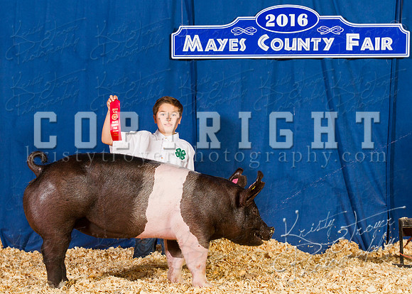Mayes_County_Fair_Backdrop-0421