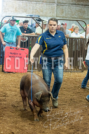 MAYES_COUNTY_FAIR_Swine-9552