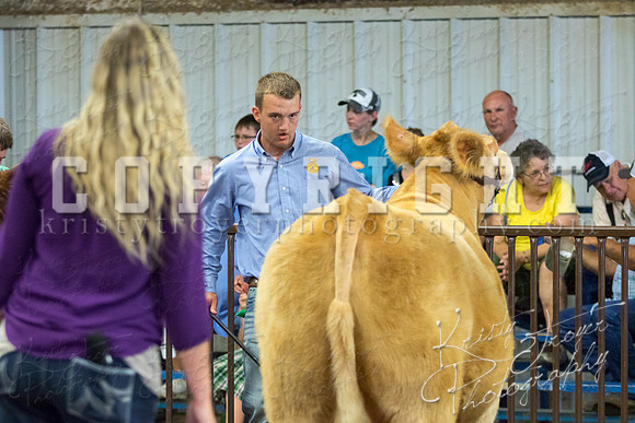MAYES_COUNTY_FAIR_steer-3970